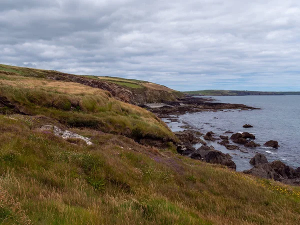大西洋沿岸植被茂密 北欧的性质 海滨风景 天空下水体附近的绿草场 — 图库照片