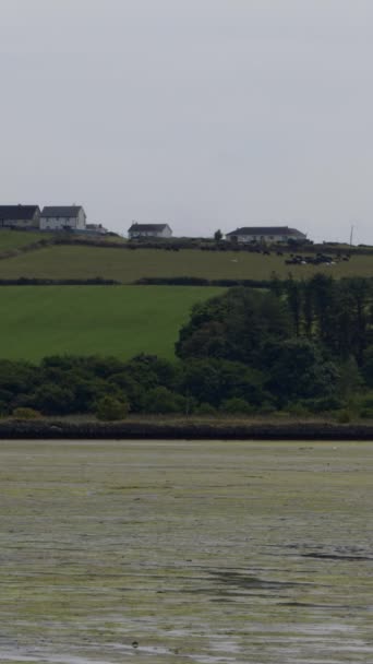 Irish Hamlet Situated Verdant Hill Overlooking Expansive Tidal Marshes True — Stock Video