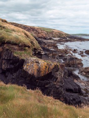 Resimli bir manzara. Vahşi bitkiler taşlı topraklarda yetişir. Okyanus kıyısında bulutlu bir gökyüzü. Atlas Okyanusu manzarası, bulutların altındaki tepeler.