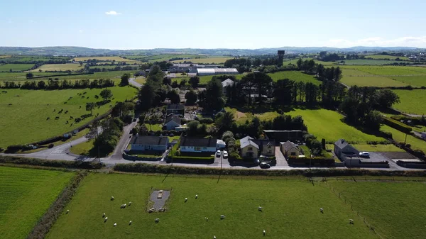 stock image A small Irish village among fields and grazing cattle, top view. Irish agricultural landscape.