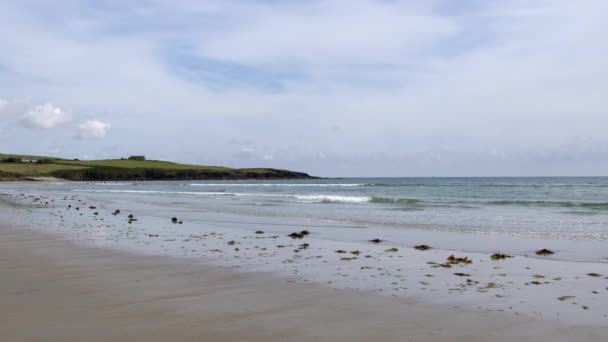 Serenidad Costa Irlandesa Con Las Olas Suavemente Golpeando Orilla — Vídeo de stock