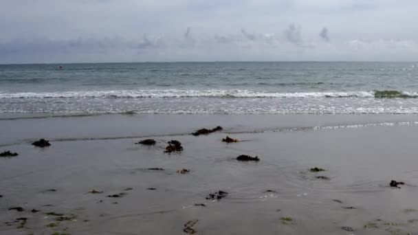 Horisonten Ovanför Havet Och Himlen Med Moln Alger Stranden Video — Stockvideo