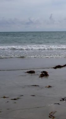 Deniz ufkuyla bulutlu gökyüzü arasında açık bir ayrım gözlenirken deniz yosunları kıyıda görülebilir. Dikey video.