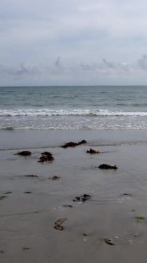 Ufuk deniz üzerinde ve gökyüzünde bulutlar, deniz yosunları. Dikey video.