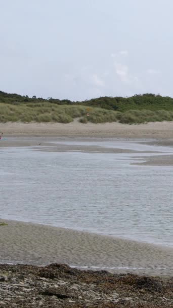 Paesaggio Tranquillo Pianure Marea Sabbiose Sulle Remote Coste Dell Irlanda — Video Stock