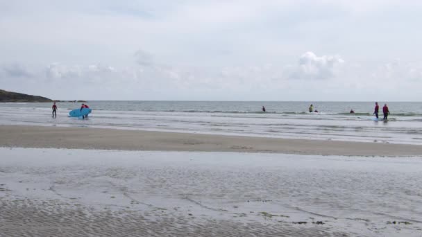 West Cork Irsko Srpna2022 Skupina Surfařů Modrými Prkny Stojí Písečné — Stock video