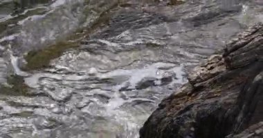 Kayalık kıyılara karşı su kırılır ve beyaz köpüklü bir sıçrama yaratır..