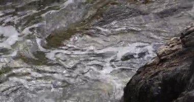 Okyanus dalgaları geliyor ve kayalık sahili beyaz köpükle kaplıyor..