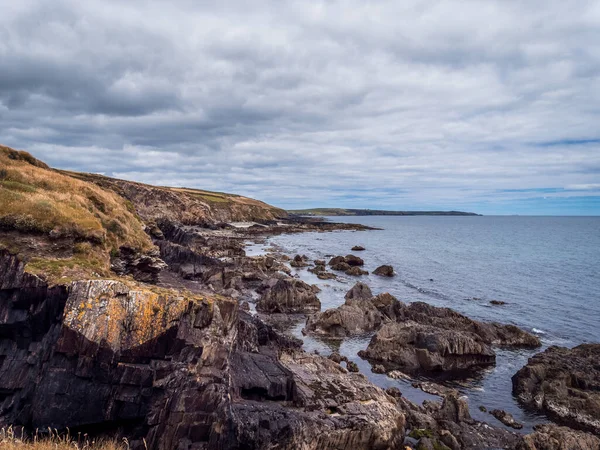 Picturesque Irish Seaside Landscape Wild Vegetation Grows Stony Soil Cloudy — Stock Photo, Image
