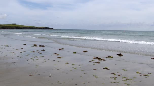 Fantastisk Naturlig Skönhet Den Irländska Kusten Där Landet Möter Havet — Stockvideo
