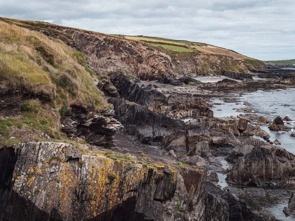絵のように美しいアイルランドの海辺の風景 野生の植生は石の土壌で成長する 海の上に曇った空 野生の大西洋の道の眺め — ストック写真