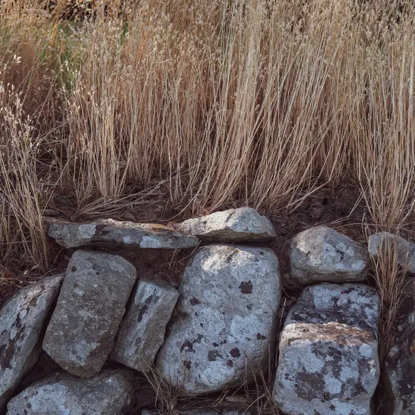 Alvenaria Plantas Fragmento Uma Cerca Pedra — Fotografia de Stock