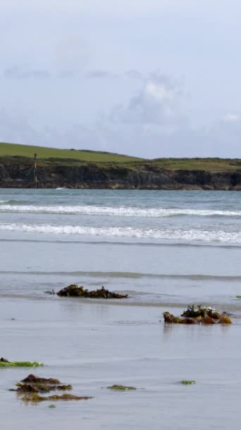 Chaluhy Mokré Písečné Pláži Typická Irská Přímořská Krajina Klidným Přílivem — Stock video