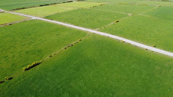 Pastagens Verão Irlanda Vista Superior Paisagem Agrícola Campo Relva Verde — Fotografia de Stock