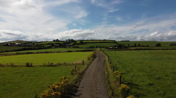 アイルランドのフィールド間の道路 草原の上に青空 アイルランドの夏の風景 青空の下の緑の草原 — ストック写真