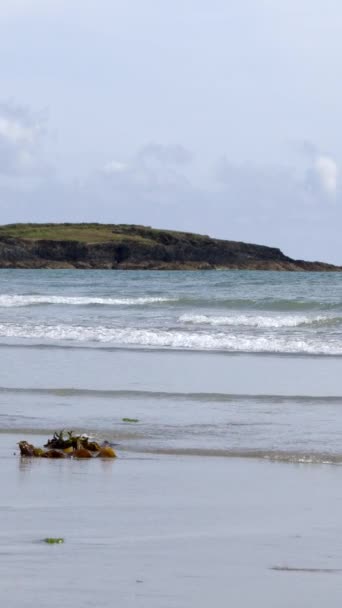 Uma Paisagem Típica Irlandesa Beira Mar Com Ondas Calmas Oceano — Vídeo de Stock