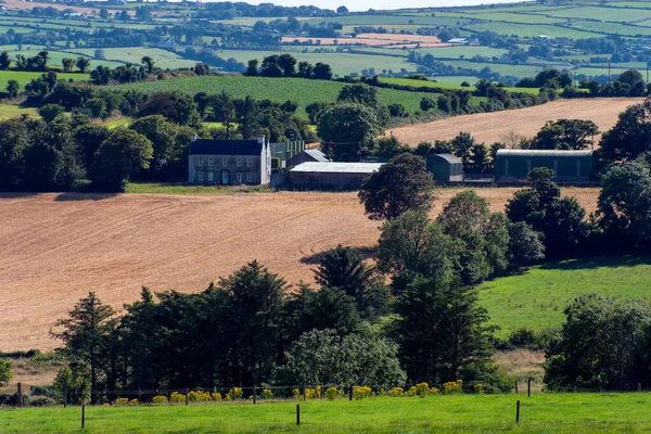 Vivienda Granjero Entre Los Campos Irlanda Paisaje Rural Irlandés — Foto de Stock