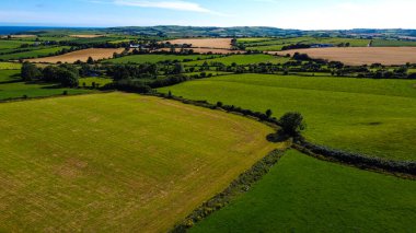 İrlanda 'nın güneyinde tarlalar ve tarım arazileri, en üst düzey manzara. İrlanda tarım arazisi. Güneşli bir yaz gününde yeşil tarlalar. Mavi gökyüzünün altındaki yeşil çimenler