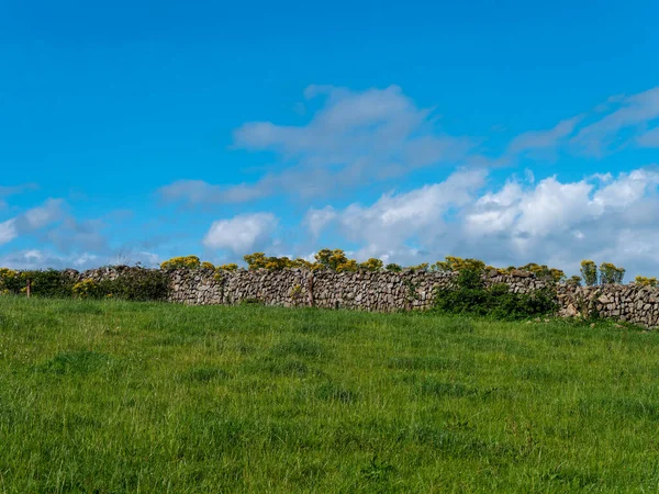 Ένας Πέτρινος Φράχτης Ένα Χωράφι Στην Ιρλανδία Καλοκαίρι Μπλε Ουρανός — Φωτογραφία Αρχείου