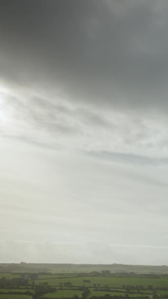 Быстрая Замедленная Съемка Облачного Неба Над Пышной Зеленой Средой Вертикальное — стоковое видео