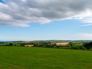 Yazın İrlanda kırsalında gökyüzünde büyük gri bir kümülüs bulutu. İrlanda manzarası. Yeşil tarlalar. Mavi gökyüzü ve beyaz bulutların altında yeşil çimen tarlası