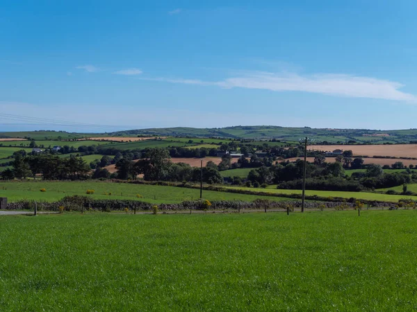 Campos Agrícolas Irlandeses Bajo Cielos Azules Verano Paisaje Campo Hierba — Foto de Stock