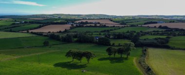 Tarlalar, manzara. Yazın tarım arazisi. Çim tarlaları ve ağaçlar. Ağaçlı yeşil çimen tarlası