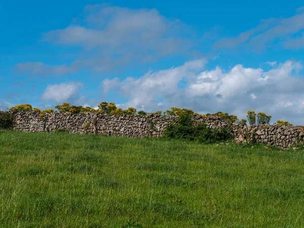 Kamenný Plot Farmářském Poli Irsku Modrá Obloha Nad Zeleným Polem — Stock fotografie