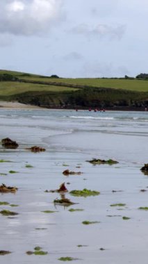 Yaz mevsiminde ıslak kumlu sahilde deniz yosunlarıyla tipik İrlanda deniz manzarasında sakin Atlantik Okyanusu sörfü. Dikey video.