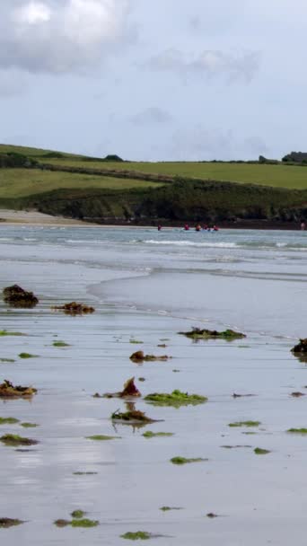 Acalme Oceano Atlântico Surfe Típica Paisagem Costeira Irlandesa Com Algas — Vídeo de Stock