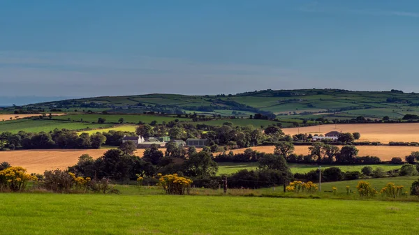 アイルランドの夜に緑の農場や丘 アイルランドの田園風景 木の近くの緑の草原 — ストック写真