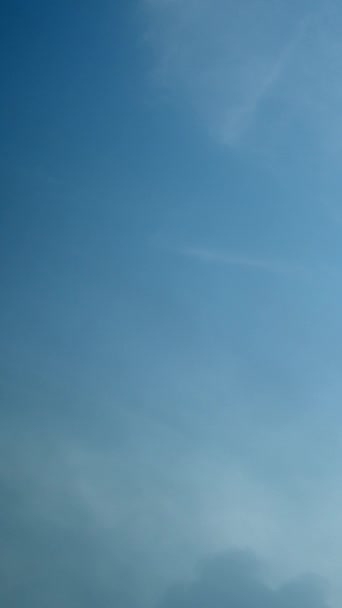 Чистое Голубое Небо Мягким Движением Белых Полупрозрачных Циррусовых Облаков Вертикальное — стоковое видео
