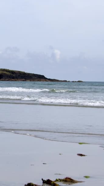 海藻生长在潮湿的沙滩上 是典型的爱尔兰海滨景观 夏季有平静的大西洋冲浪 垂直录像 — 图库视频影像