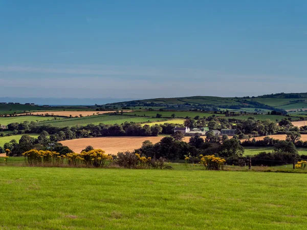 Velden Heuvels Avond Ierland Ierland Plattelandsgebied Landbouwgrond Groene Grasveld Buurt — Stockfoto