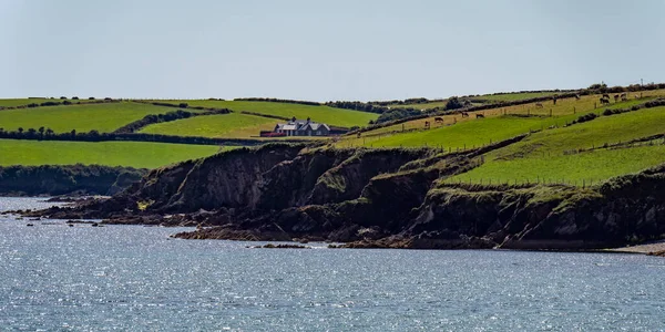 阳光明媚的夏日 爱尔兰岩石海岸上的一座小房子 爱尔兰的大西洋海岸 靠近水体的绿地 — 图库照片