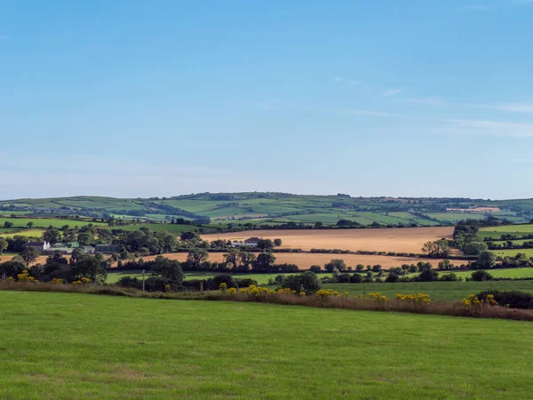 Groene Akkers Heuvels Avond Ierland Ierland Plattelandsgebied Landbouwgrond Groene Grasveld — Stockfoto