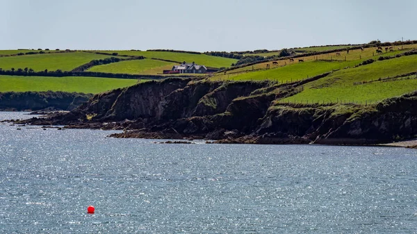 晴れた夏の日に岩だらけのアイルランドの海岸の家 アイルランドの大西洋岸 風景です 緑の丘 水の体の近くの緑の草原 — ストック写真