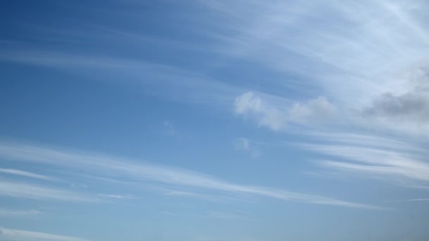 Long Cirrus Chmury Poruszają Się Powoli Niebieskim Niebie Tło Nieba — Wideo stockowe