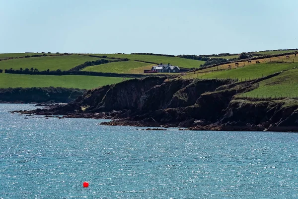 晴れた夏の日に岩の多いアイルランドの海岸にある小さな家 アイルランドの大西洋岸 風景です 緑の丘 水の近くの緑の草原 — ストック写真