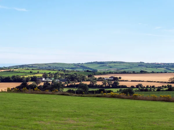 アイルランドの夕方の農場と丘です アイルランドの田園風景 緑の木の近くの緑の草原 — ストック写真
