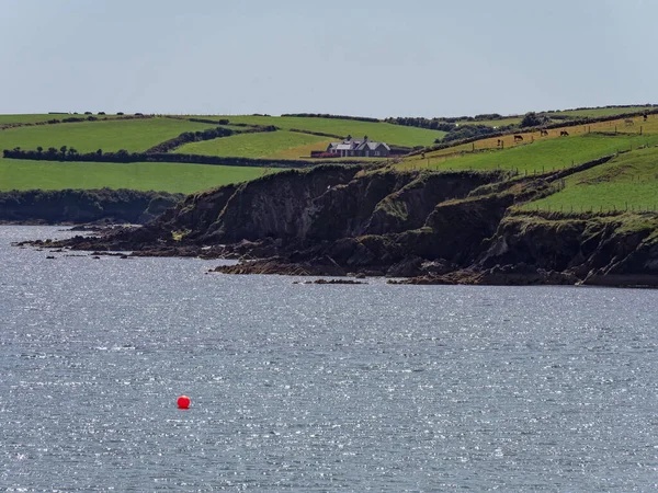 阳光灿烂的夏日 爱尔兰岩石般的海岸 爱尔兰的大西洋海岸 靠近水体的绿地 — 图库照片