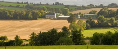 Bir yaz akşamı İrlanda 'nın tarım arazileri arasındaki binalar. Manzara. Çiftlik