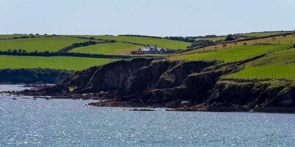 晴れた夏の日に岩の多いアイルランドの海岸にある小さな家 アイルランドの大西洋岸 風景です 緑の丘 緑の草原 — ストック写真