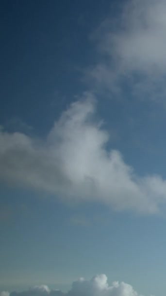 Látványos Kilátás Kék Égre Felhőkre Függőleges Videó — Stock videók