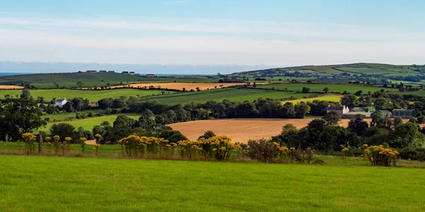 Groene Akkers Heuvels Avond Ierland Ierland Plattelandsgebied Landbouwgrond Groen Veld — Stockfoto