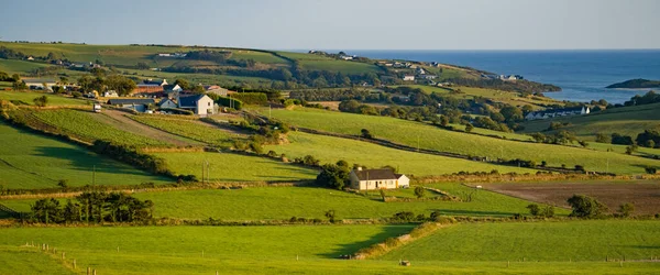 Αγροκτήματα Στην Ιρλανδία Ένα Καλοκαιρινό Βράδυ Αγροτικό Ιρλανδικό Τοπίο Βοσκοτόπια — Φωτογραφία Αρχείου