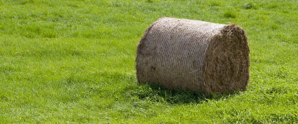 stock image One roll of pressed hay on a field of green grass.