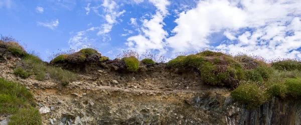 Céu Azul Claro Sobre Penhasco Rochoso Plantas Selvagens Nas Rochas — Fotografia de Stock