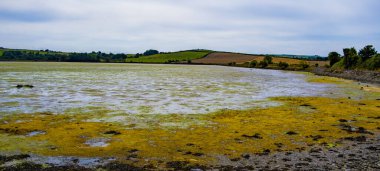 Bir yaz günü, İrlanda 'nın güneyinde dev gelgit düzlükleri. İrlanda manzarası. Gelgit bataklığı, bitişik nehir, deniz ya da okyanusun gelgit hareketiyle akan ve çekilen bir bataklıktır. gelgit sulak arazisi