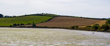 İrlanda kıyılarındaki gelgitten sonra çamurlu düzlükler. Yazın İrlanda kıyı manzarası.